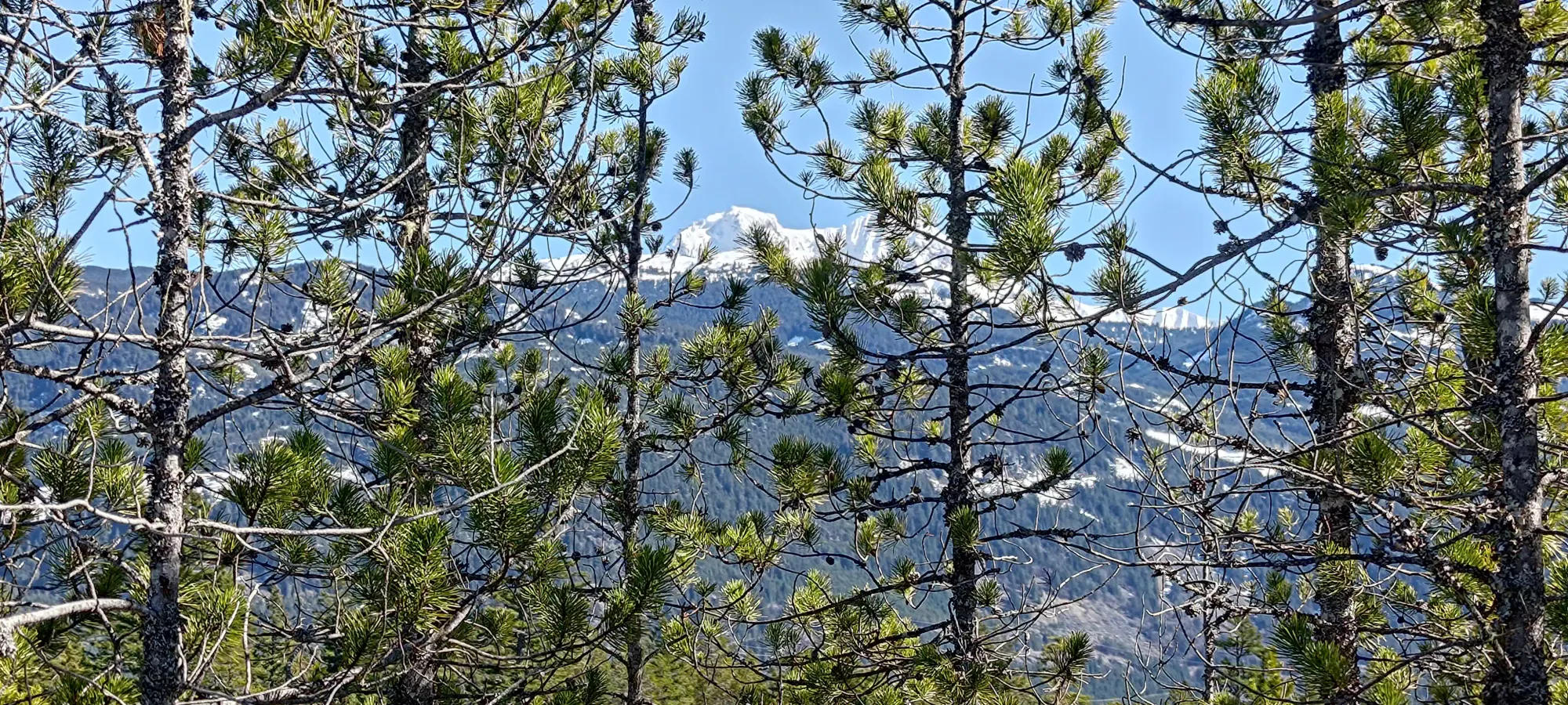 Levette Peak - March 16 2024