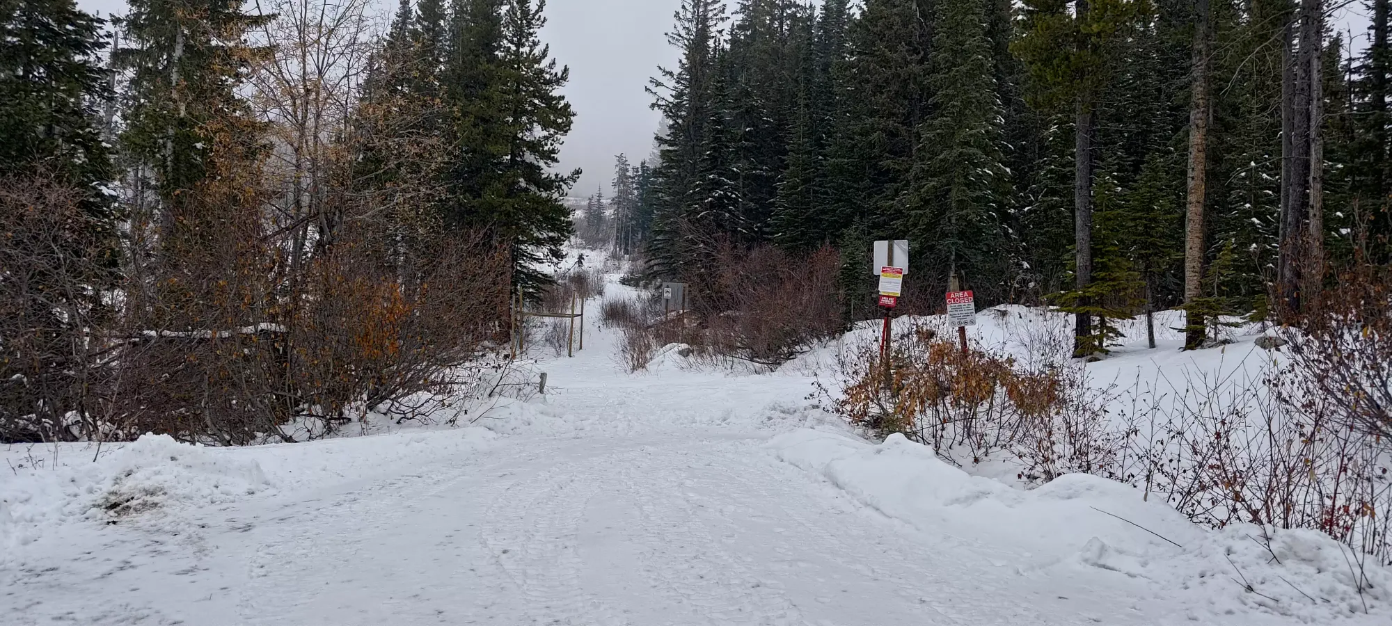 Baldy Mountain - November 10 2024