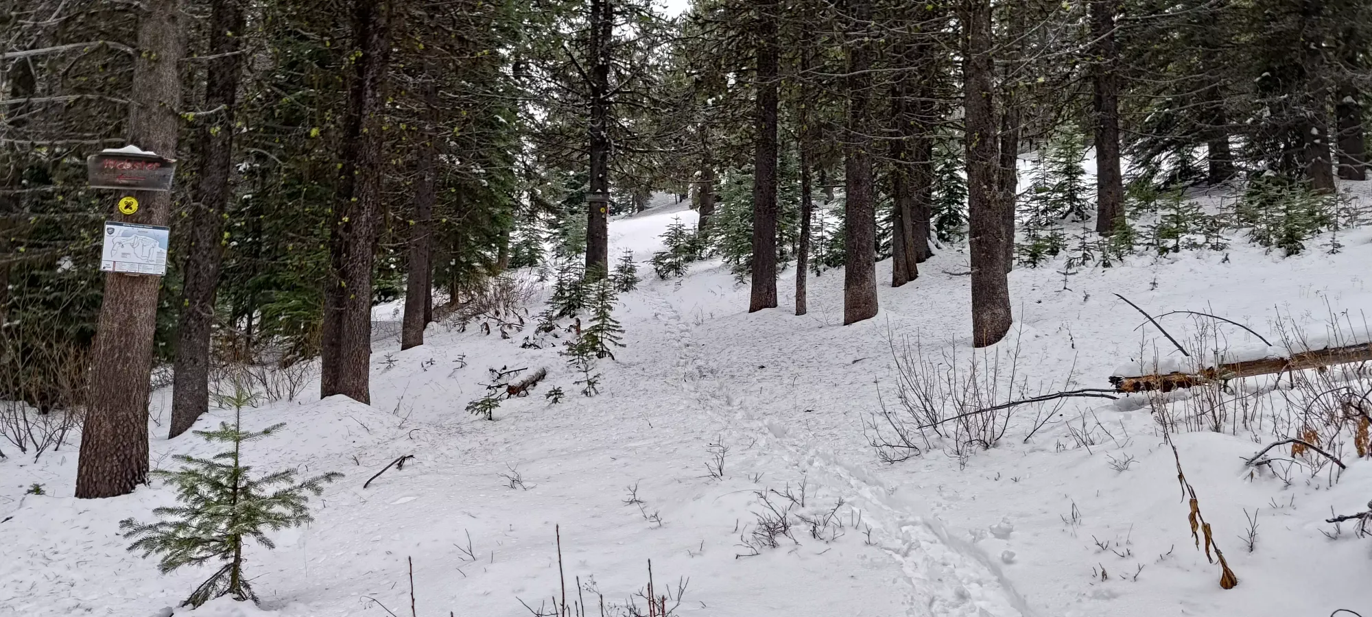 Baldy Mountain - November 10 2024