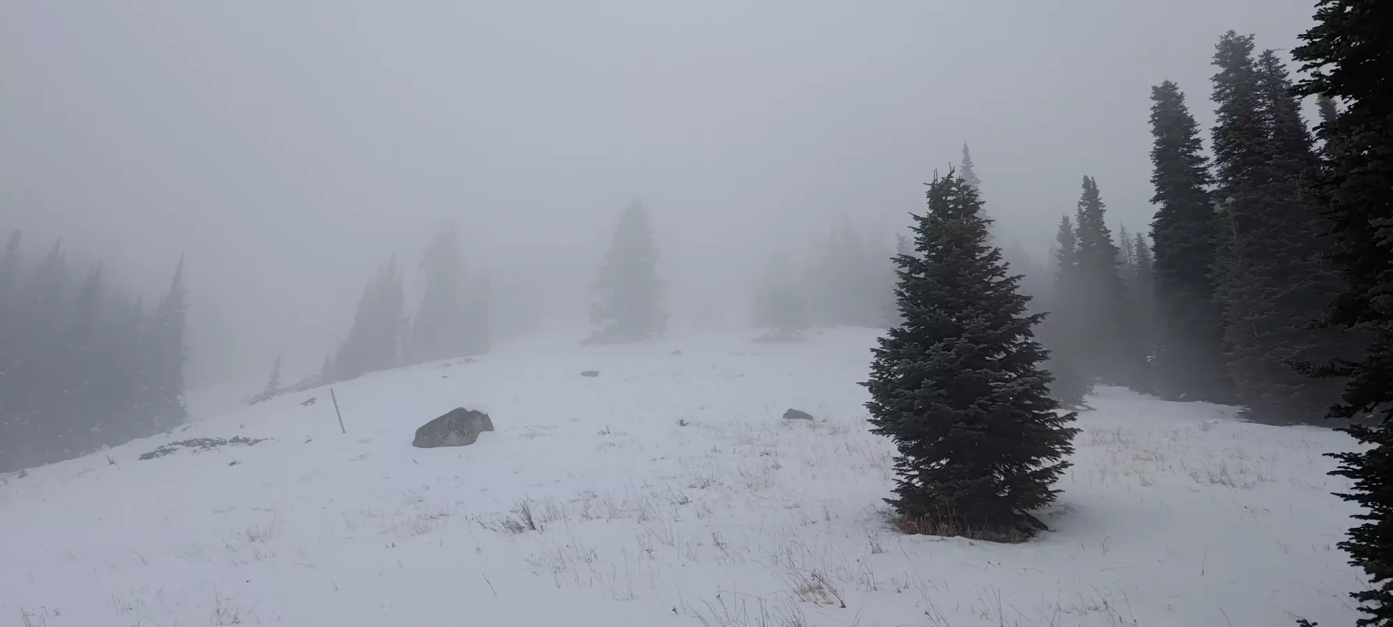 Baldy Mountain - November 10 2024