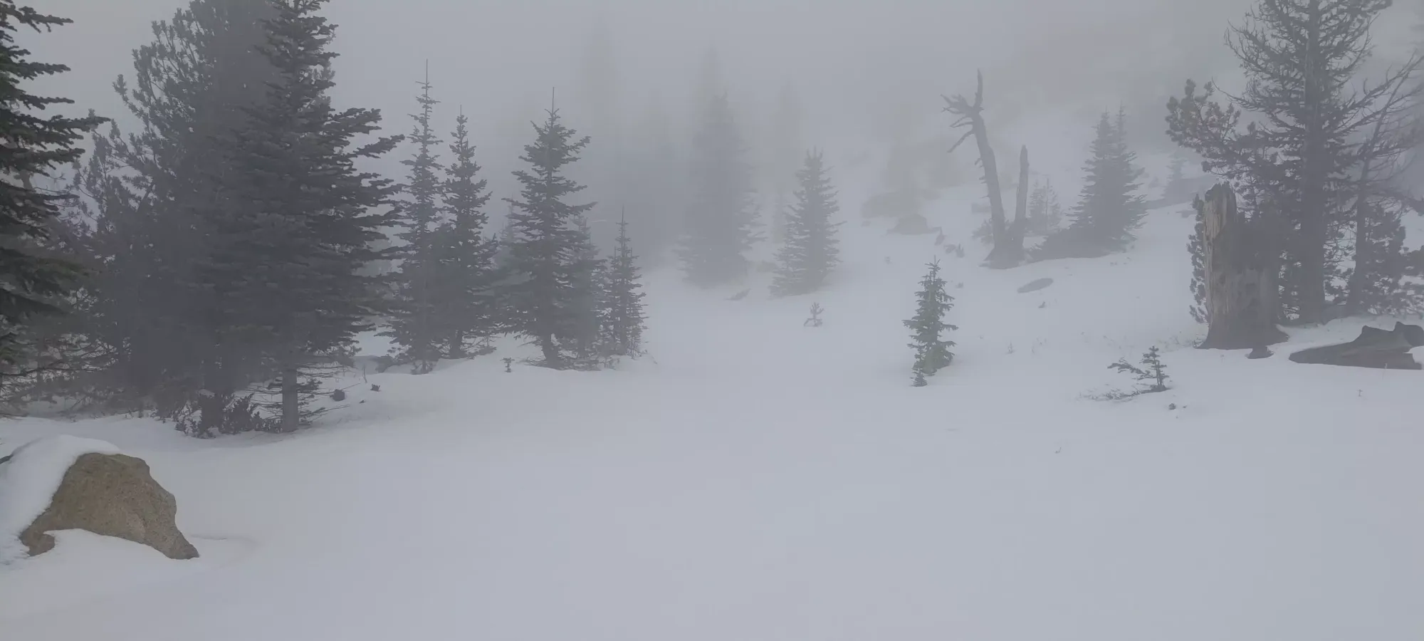 Baldy Mountain - November 10 2024