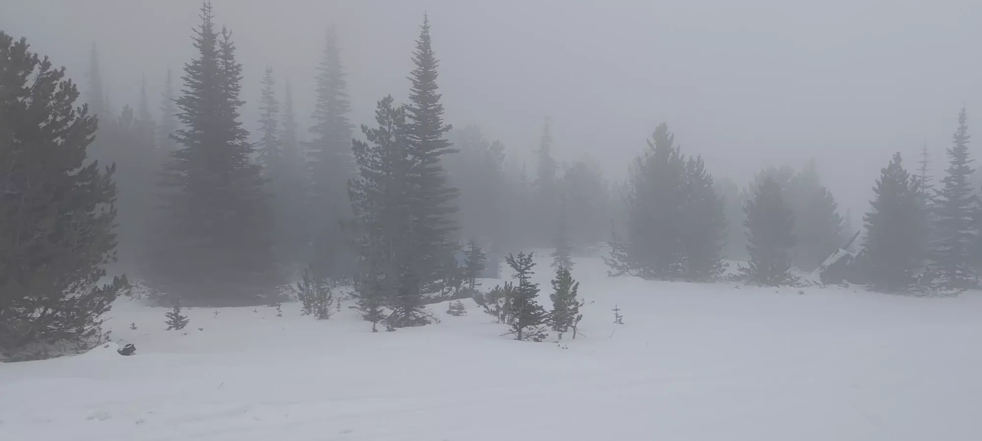 Baldy Mountain - November 10 2024