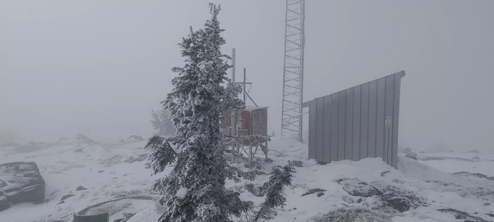 Baldy Mountain - November 10 2024