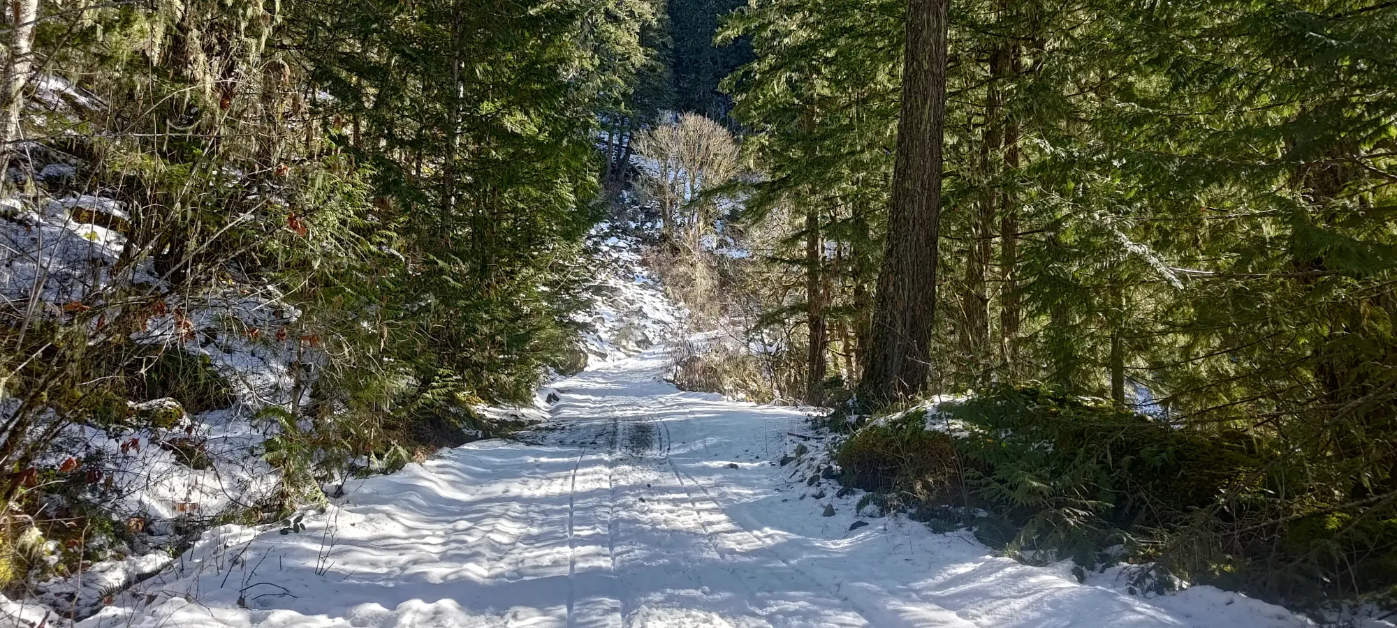 Pillchuck Peak - February 17 2025