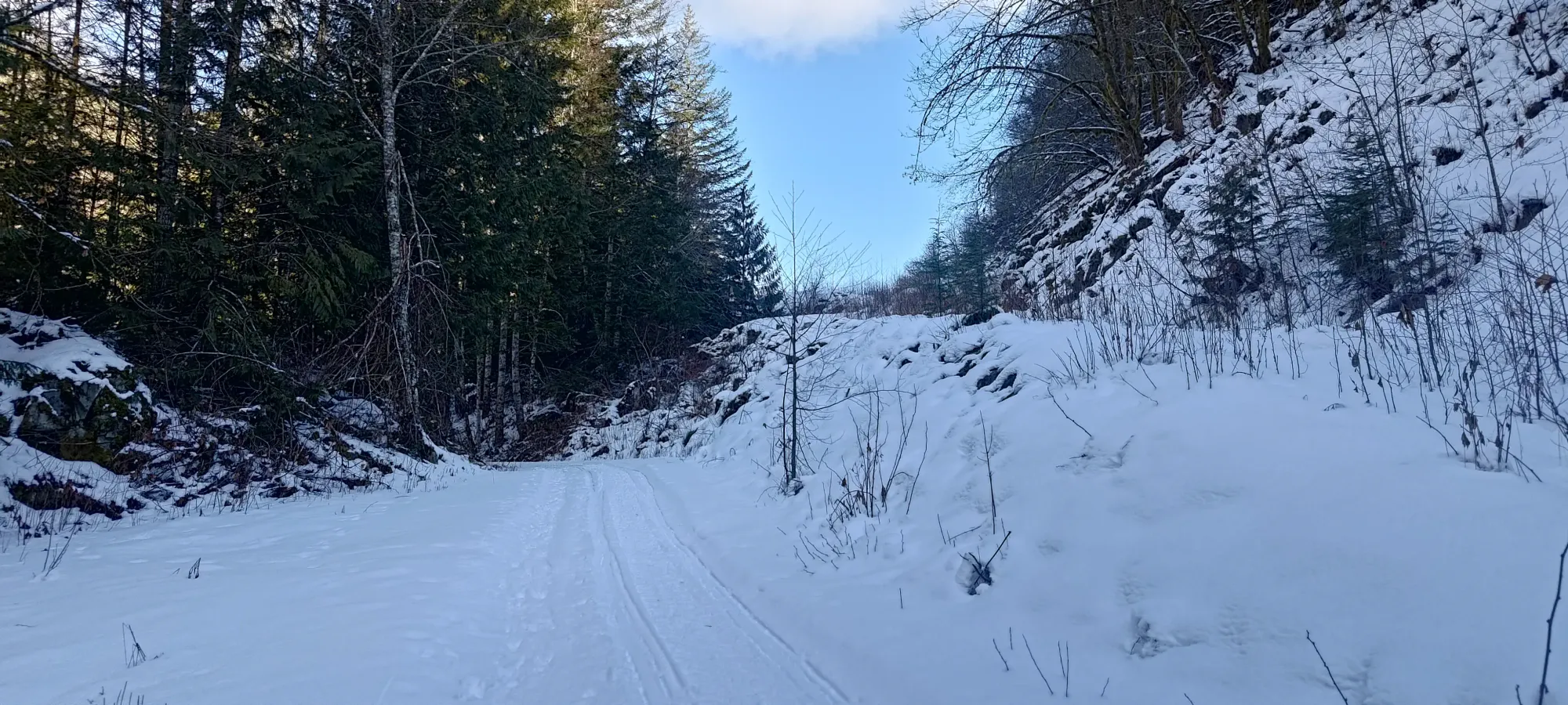 Pillchuck Peak - February 17 2025