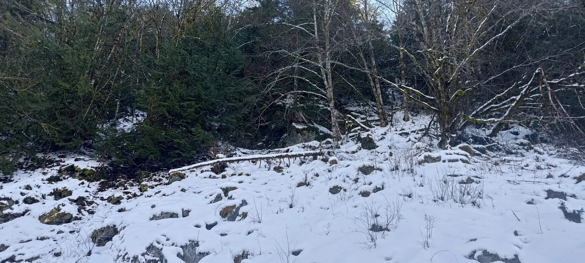 Pillchuck Peak - February 17 2025