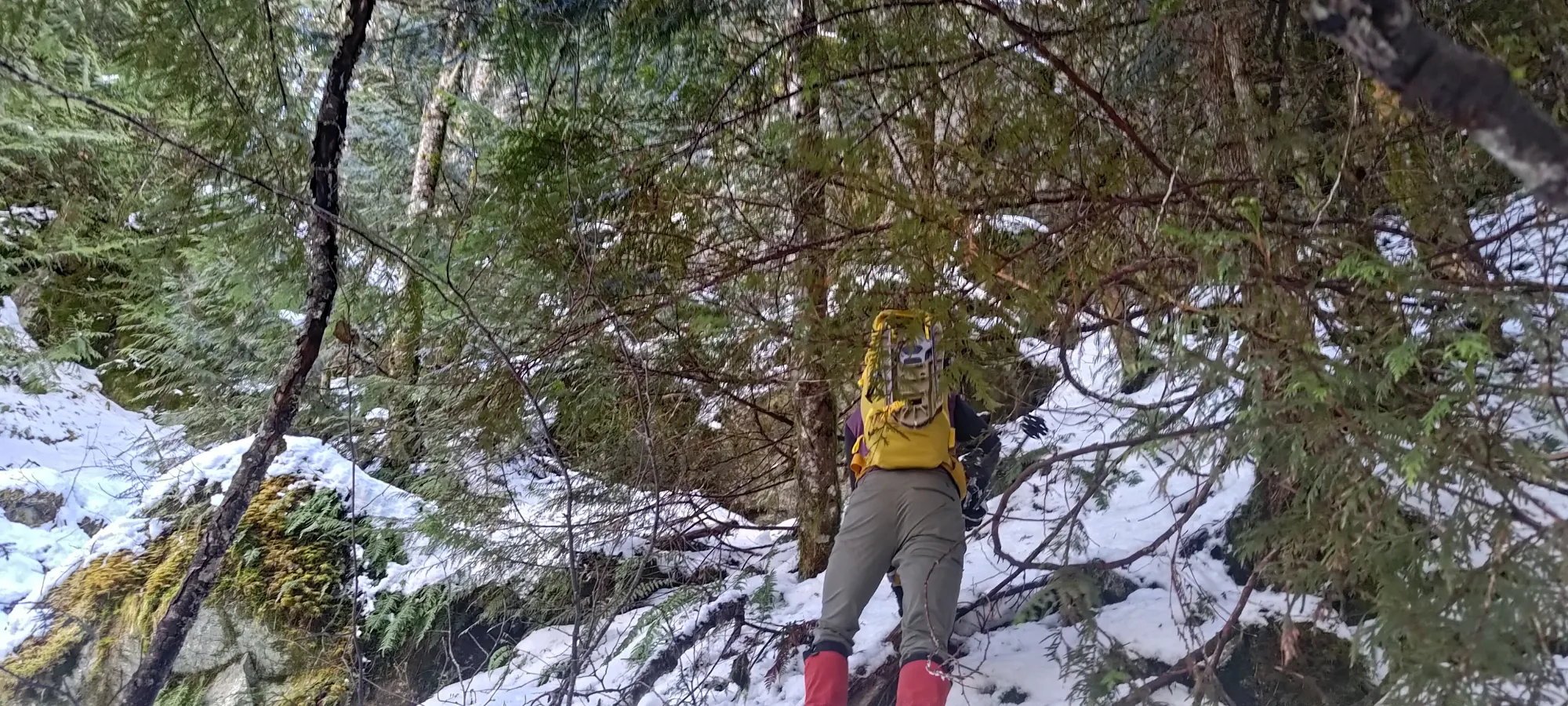 Pillchuck Peak - February 17 2025