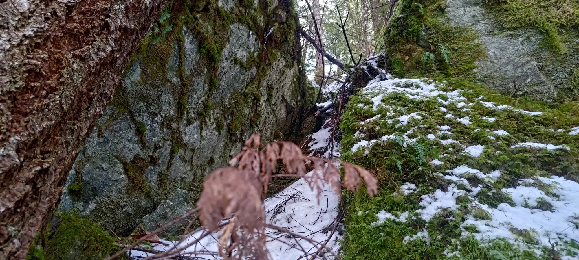 Pillchuck Peak - February 17 2025