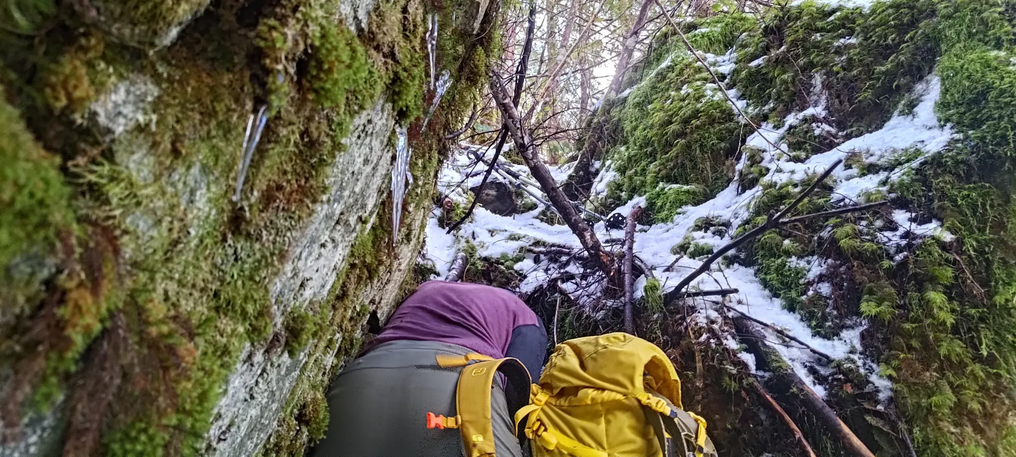 Pillchuck Peak - February 17 2025