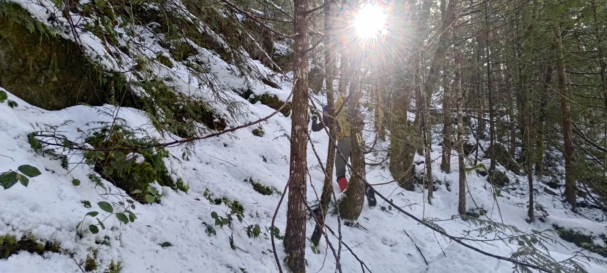 Pillchuck Peak - February 17 2025