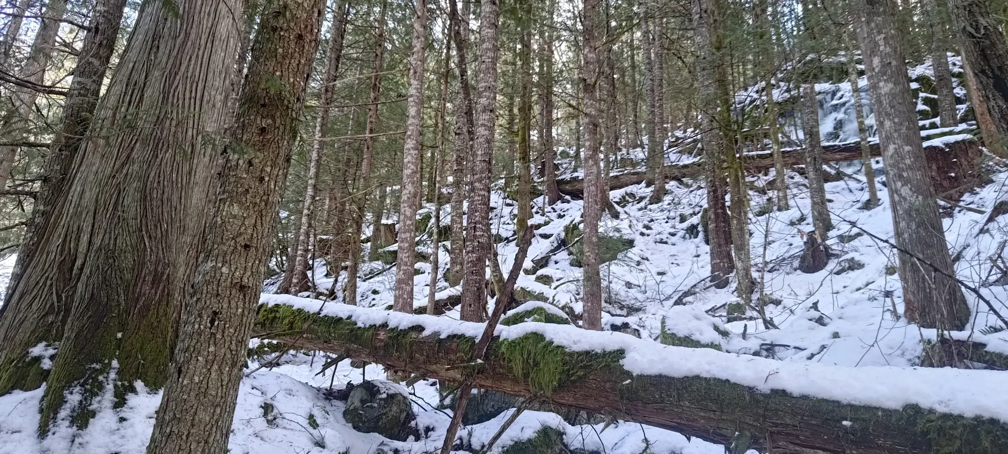 Pillchuck Peak - February 17 2025