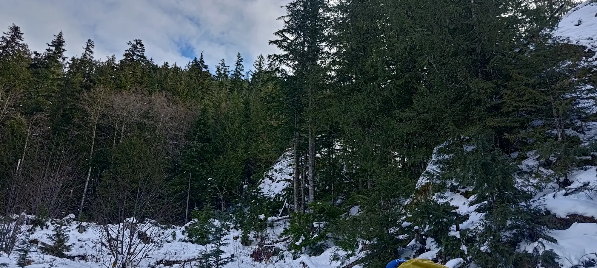 Pillchuck Peak - February 17 2025