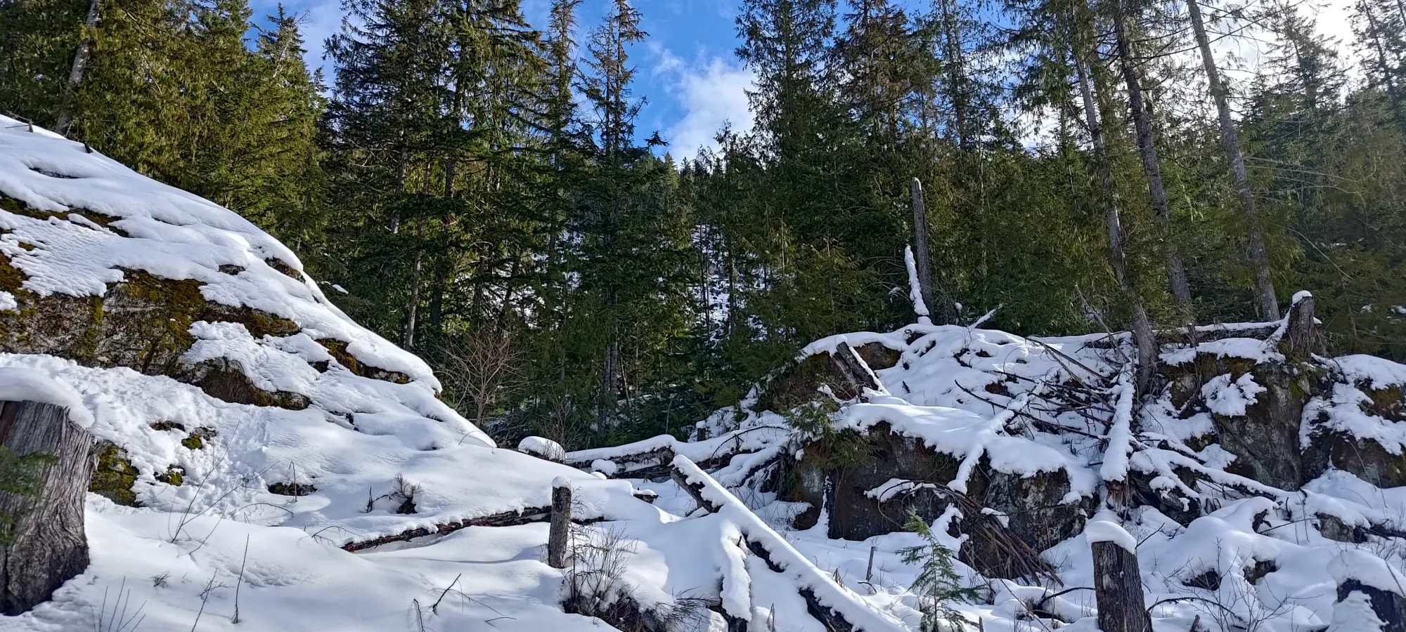 Pillchuck Peak - February 17 2025