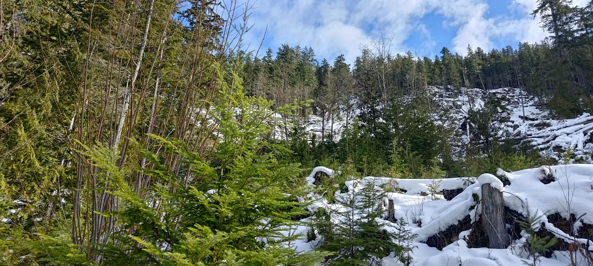 Pillchuck Peak - February 17 2025