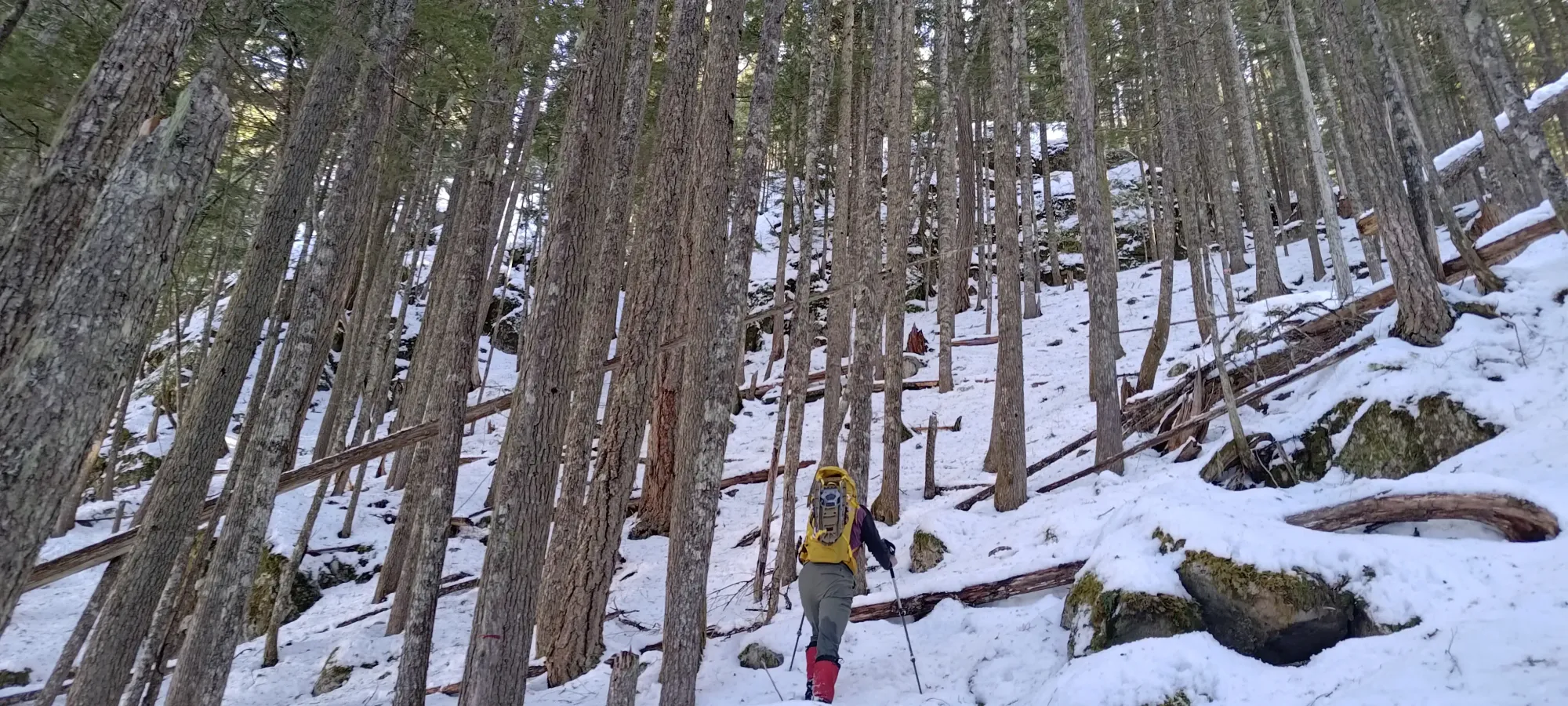 Pillchuck Peak - February 17 2025