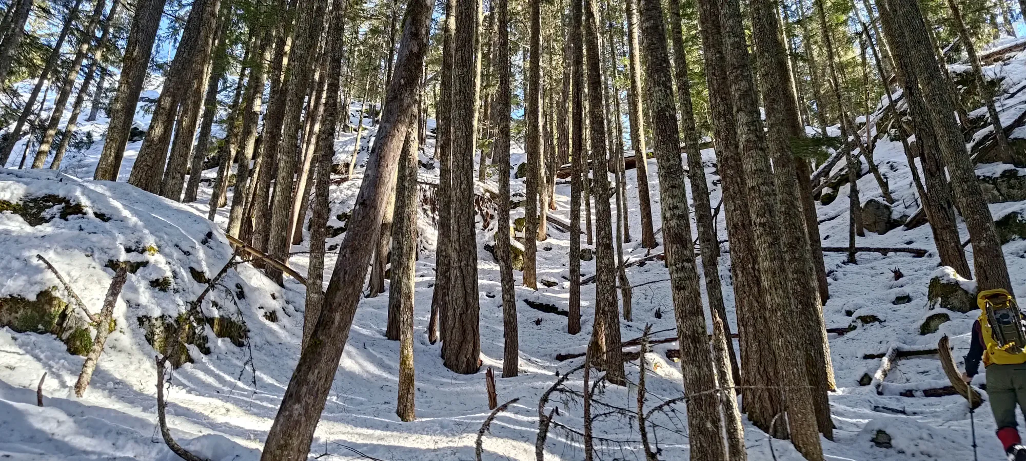 Pillchuck Peak - February 17 2025