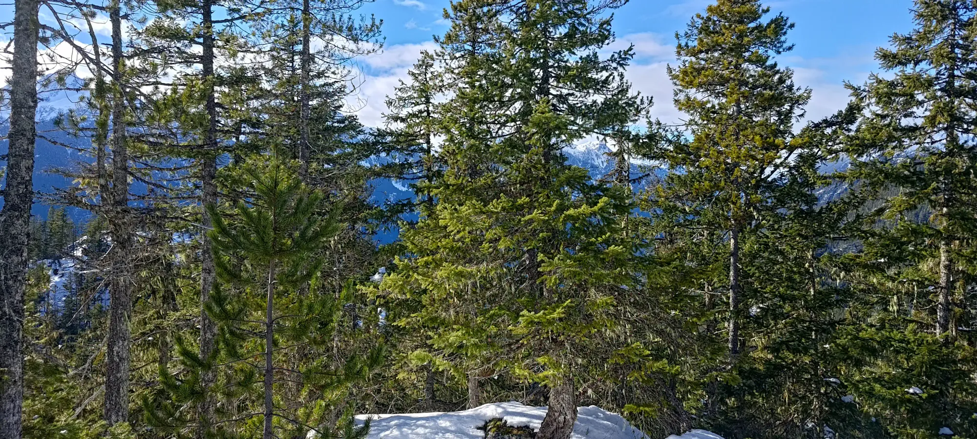 Pillchuck Peak - February 17 2025