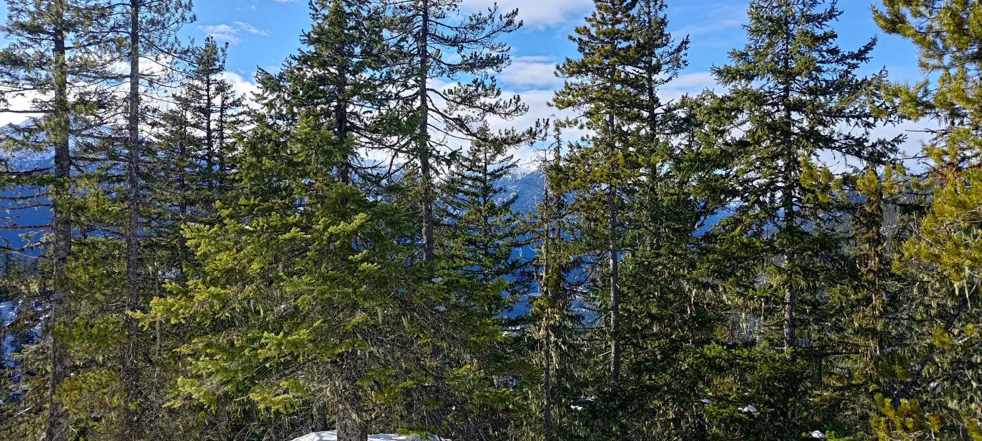 Pillchuck Peak - February 17 2025