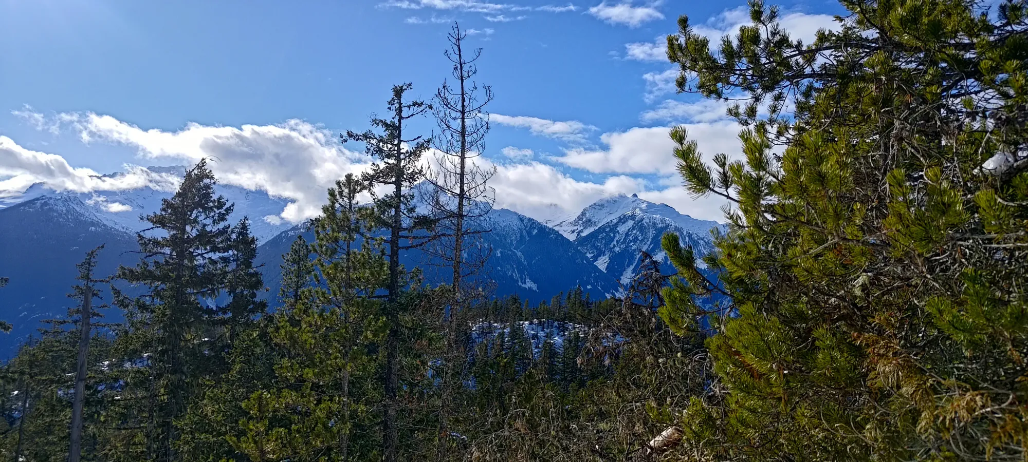 Pillchuck Peak - February 17 2025