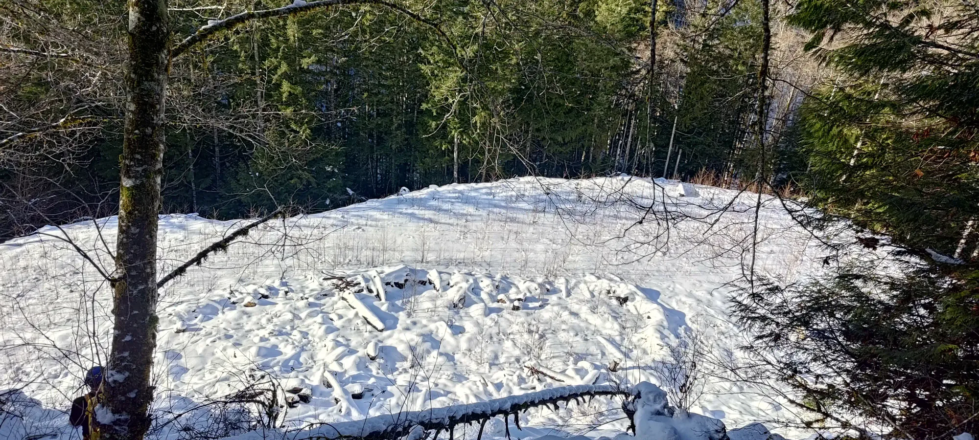 Pillchuck Peak - February 17 2025