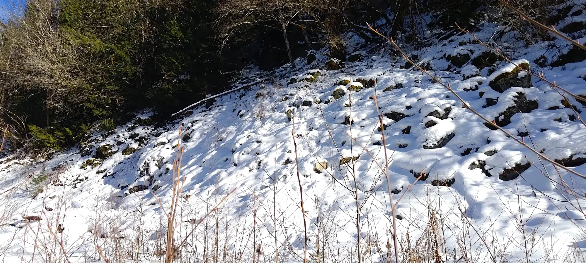 Pillchuck Peak - February 17 2025