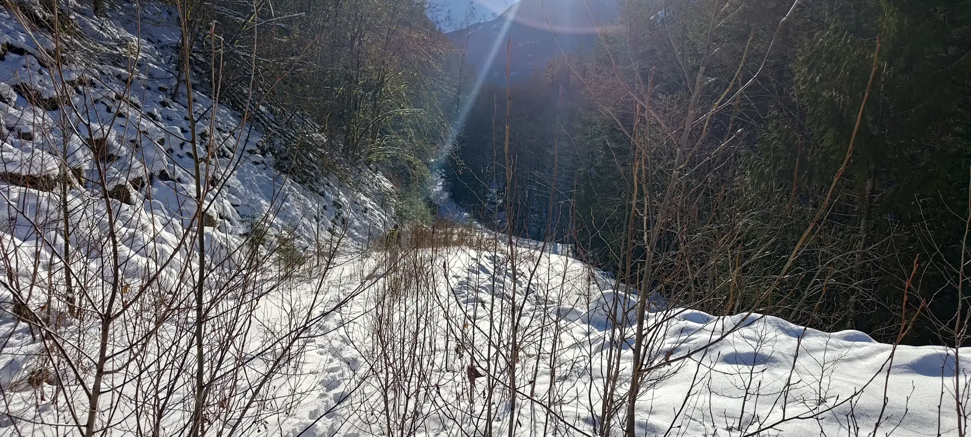 Pillchuck Peak - February 17 2025