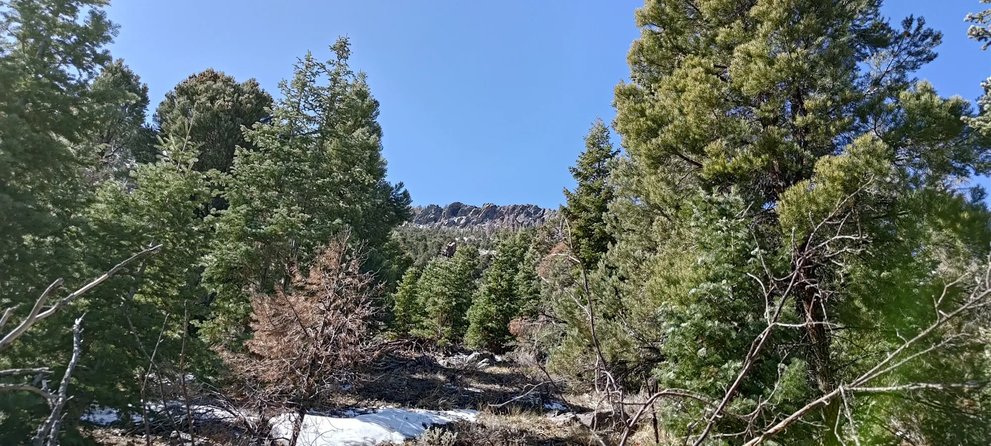 North Schell Peak - April 6 2025