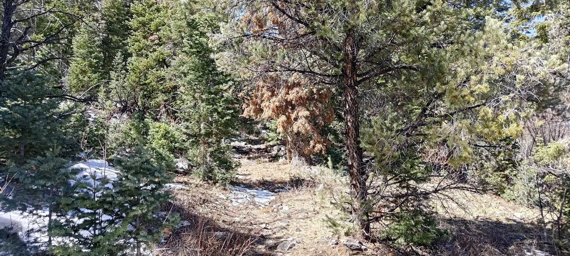 North Schell Peak - April 6 2025