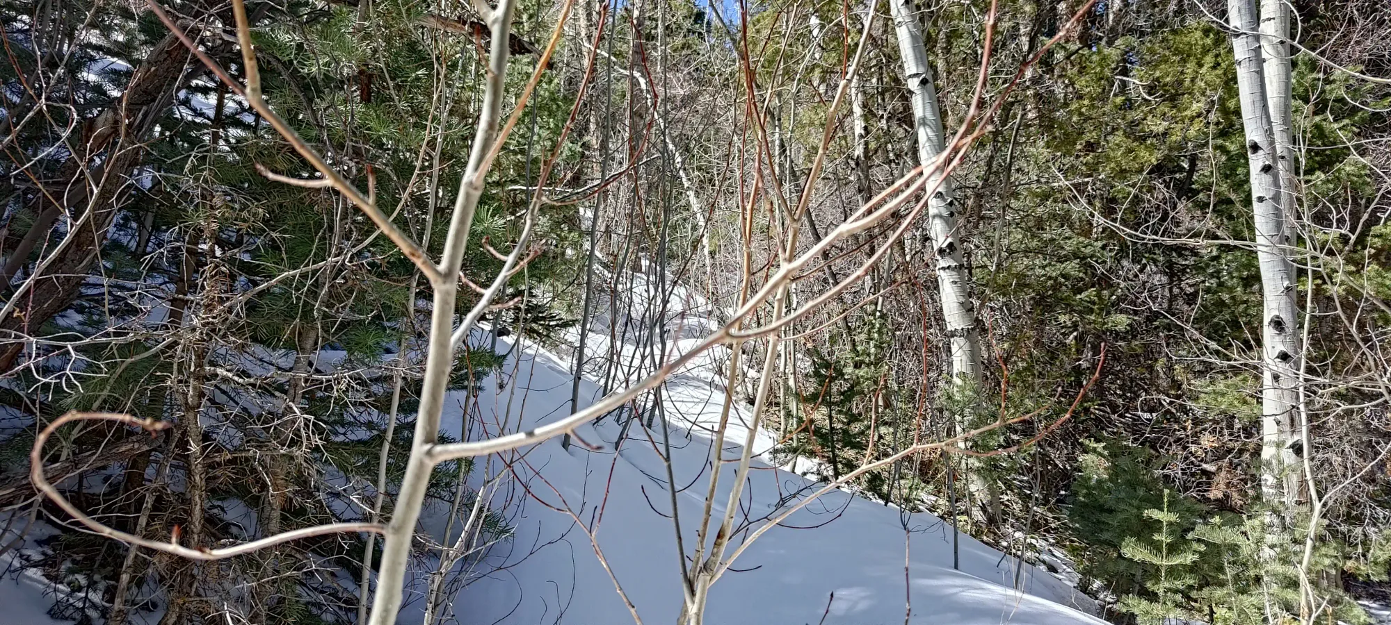 North Schell Peak - April 6 2025