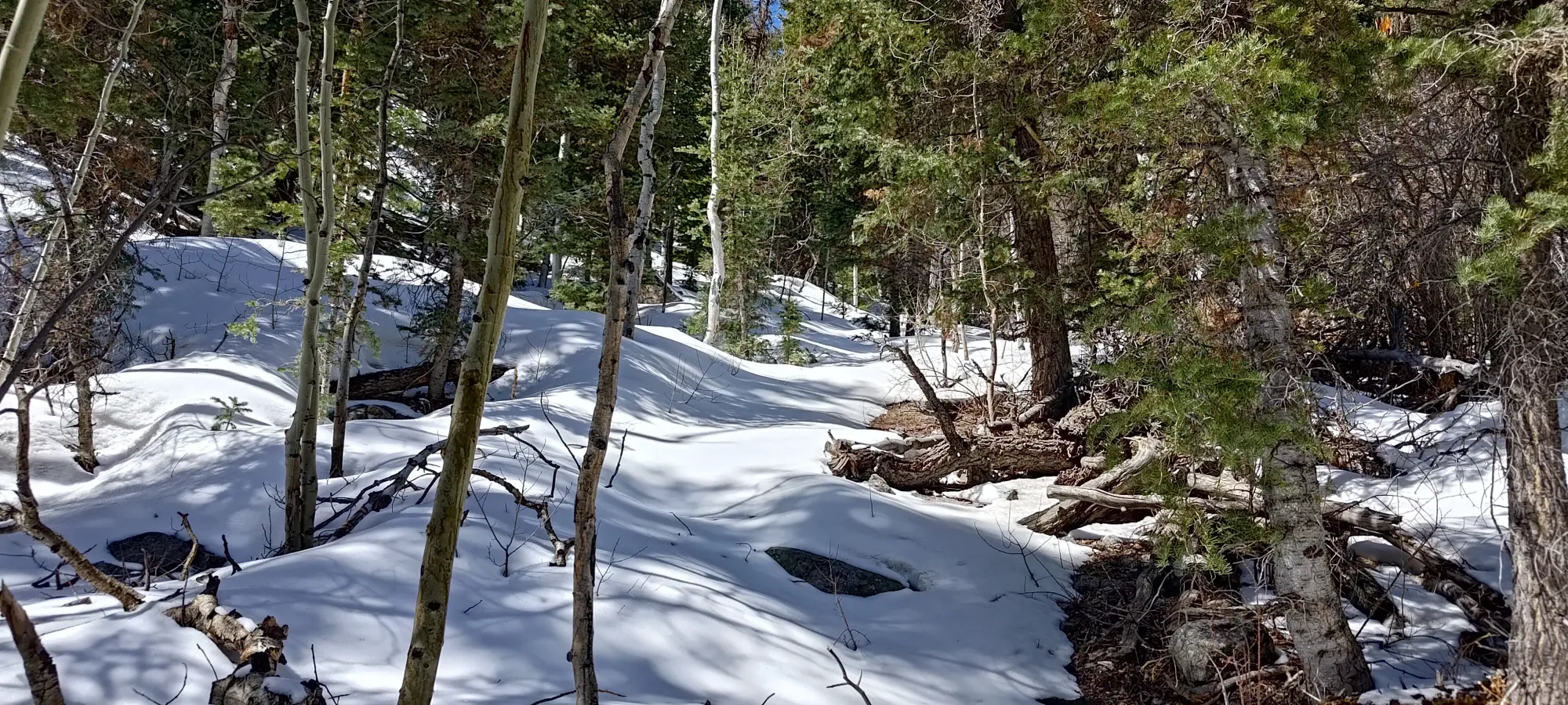 North Schell Peak - April 6 2025