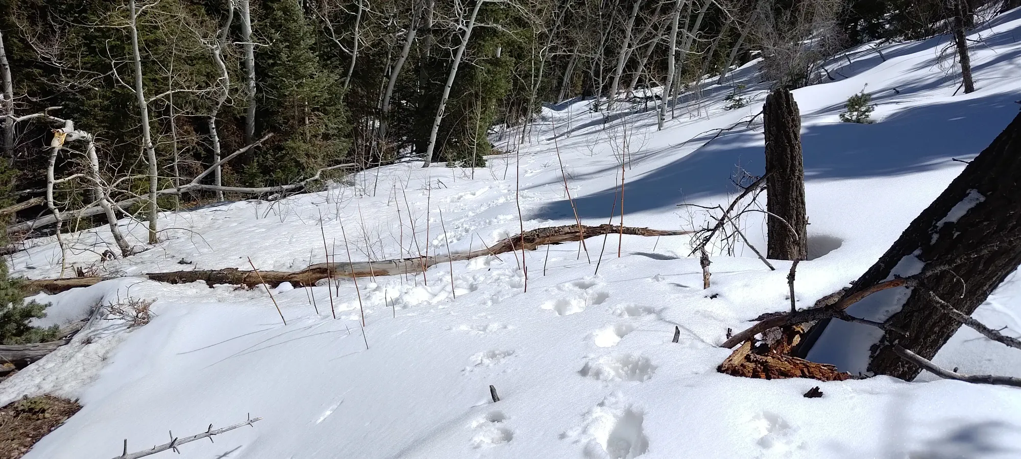 North Schell Peak - April 6 2025