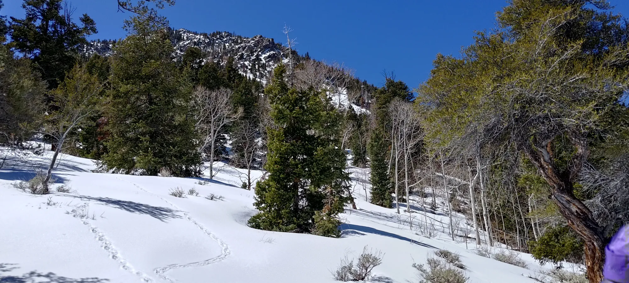 North Schell Peak - April 6 2025
