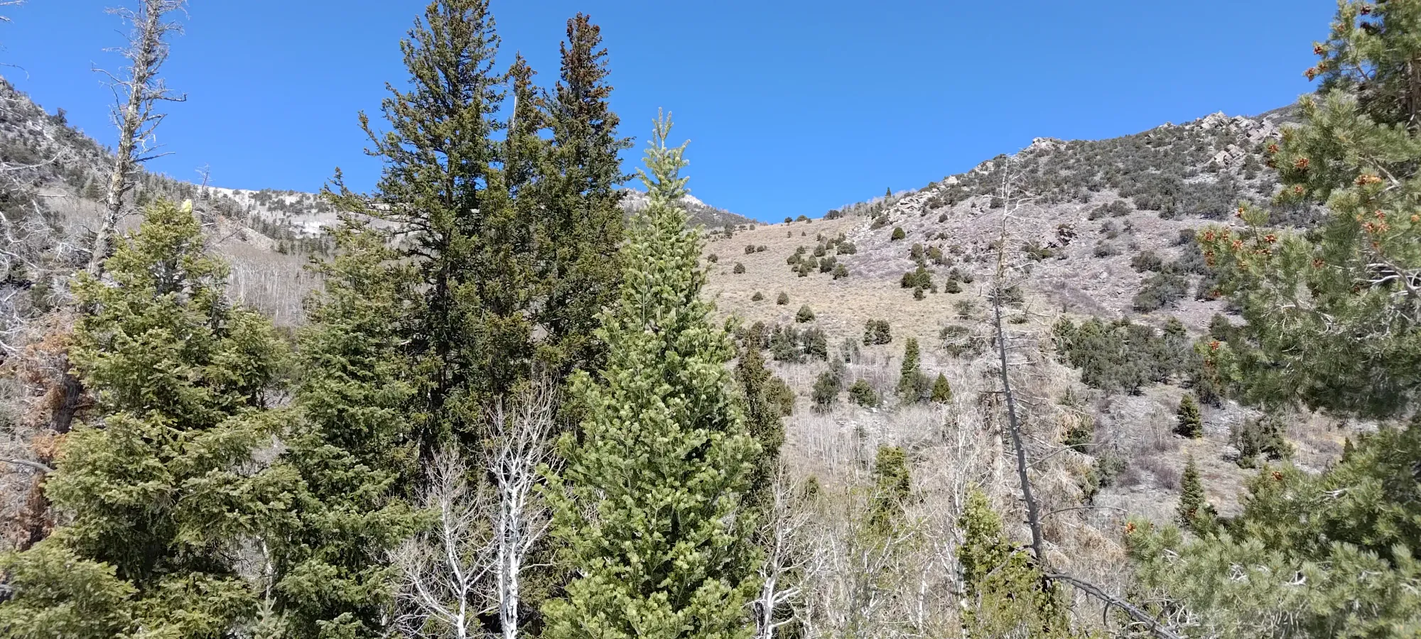 North Schell Peak - April 6 2025