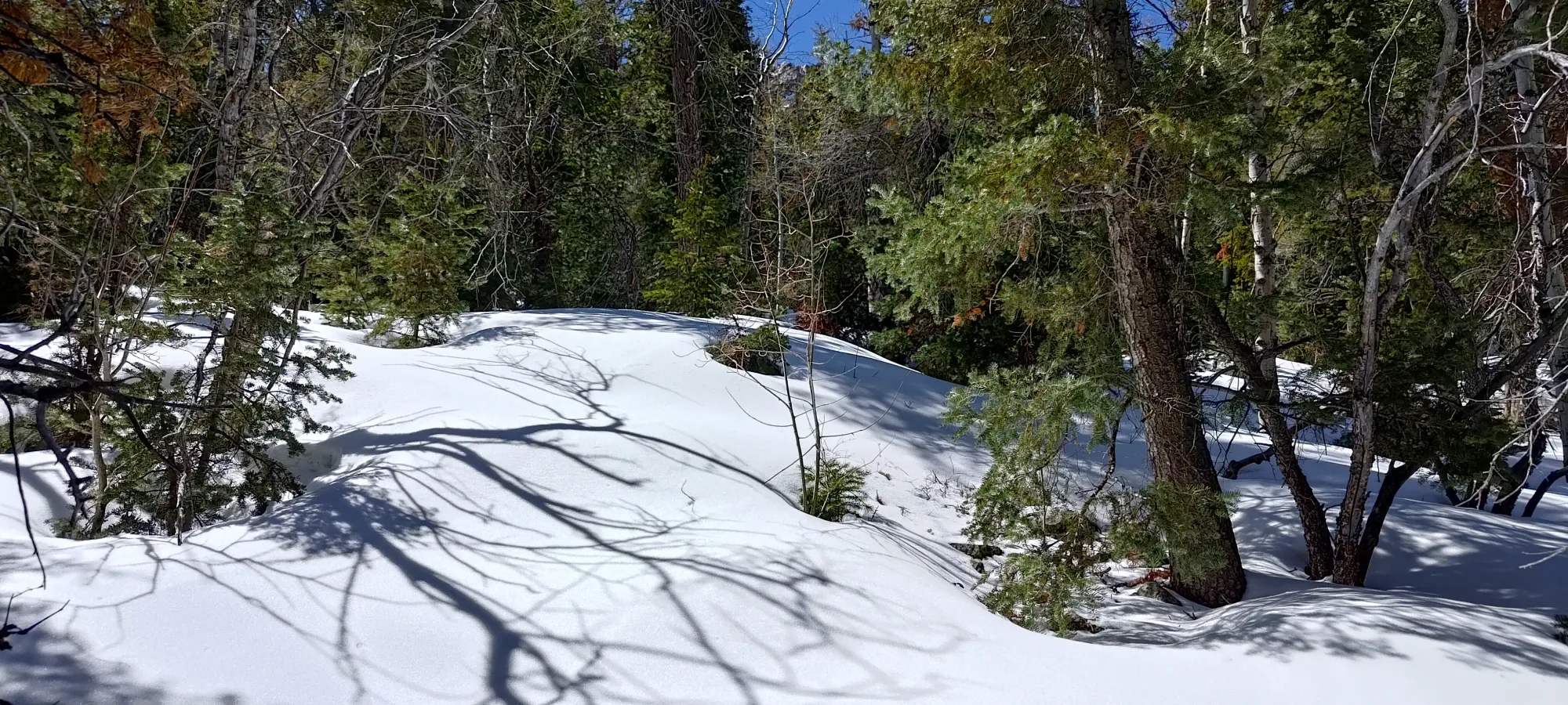 North Schell Peak - April 6 2025