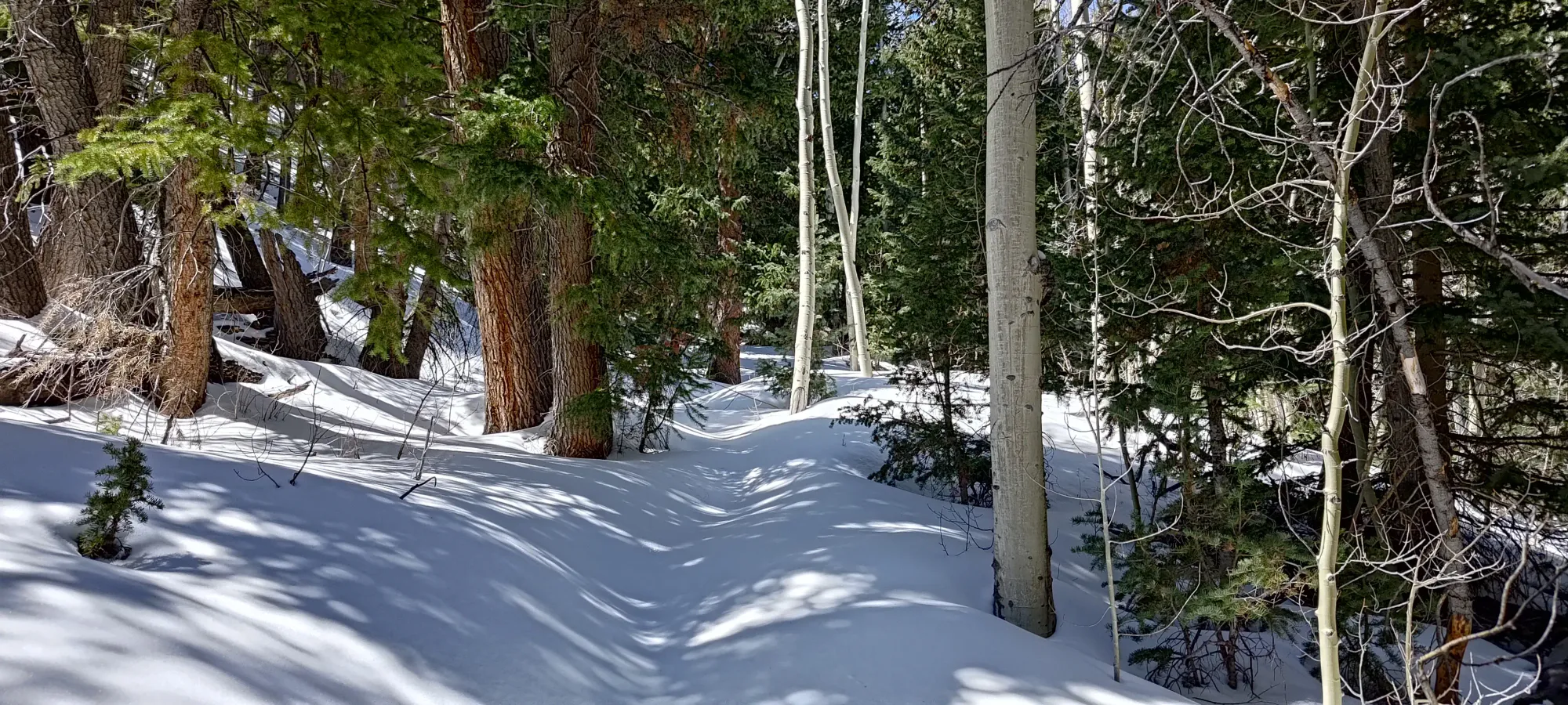 North Schell Peak - April 6 2025