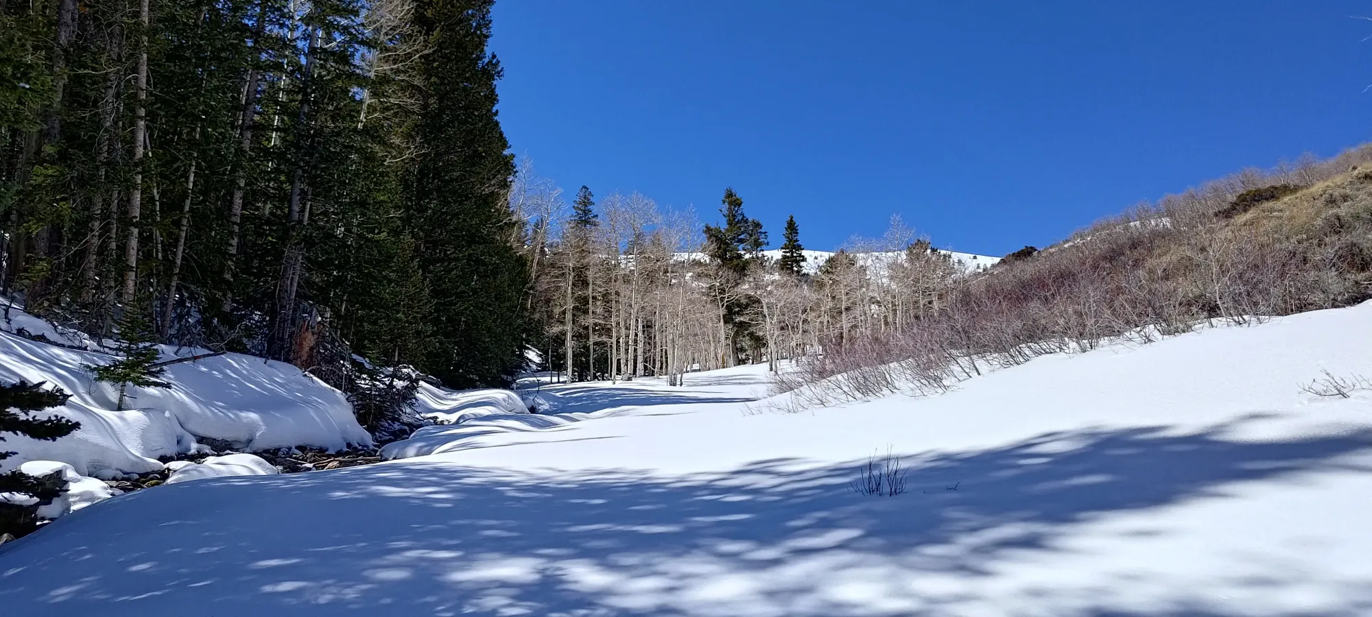 North Schell Peak - April 6 2025