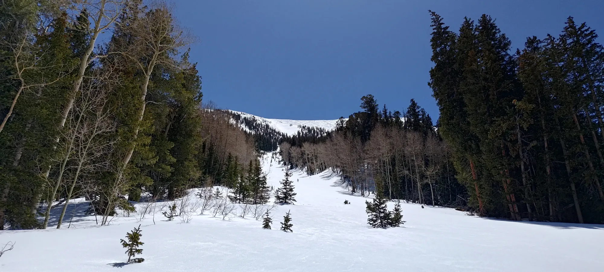 North Schell Peak - April 6 2025