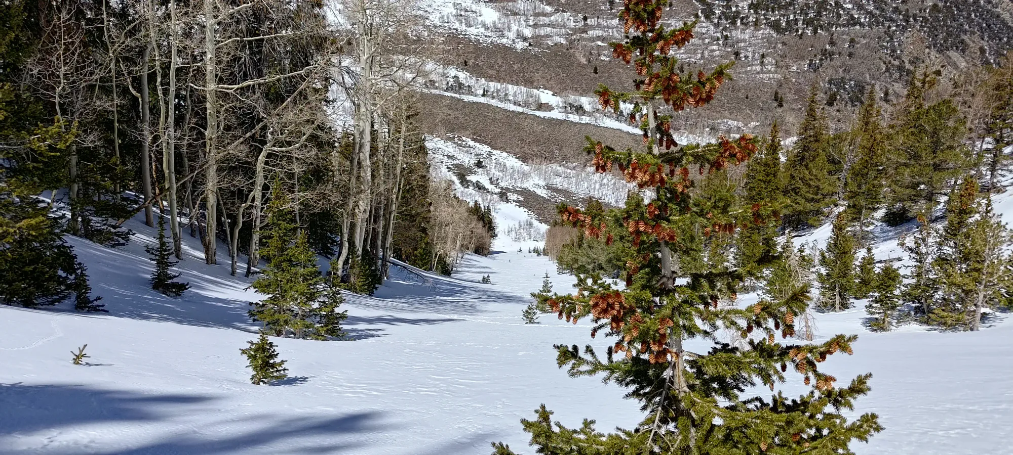 North Schell Peak - April 6 2025