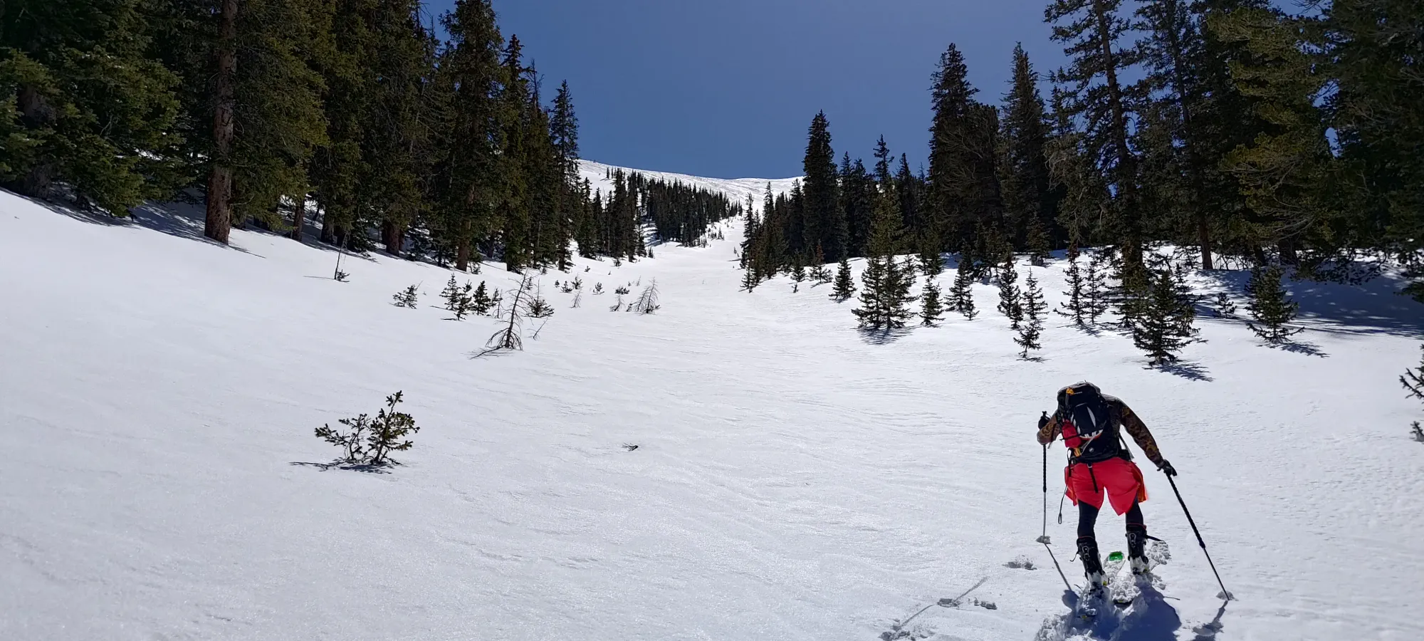 North Schell Peak - April 6 2025