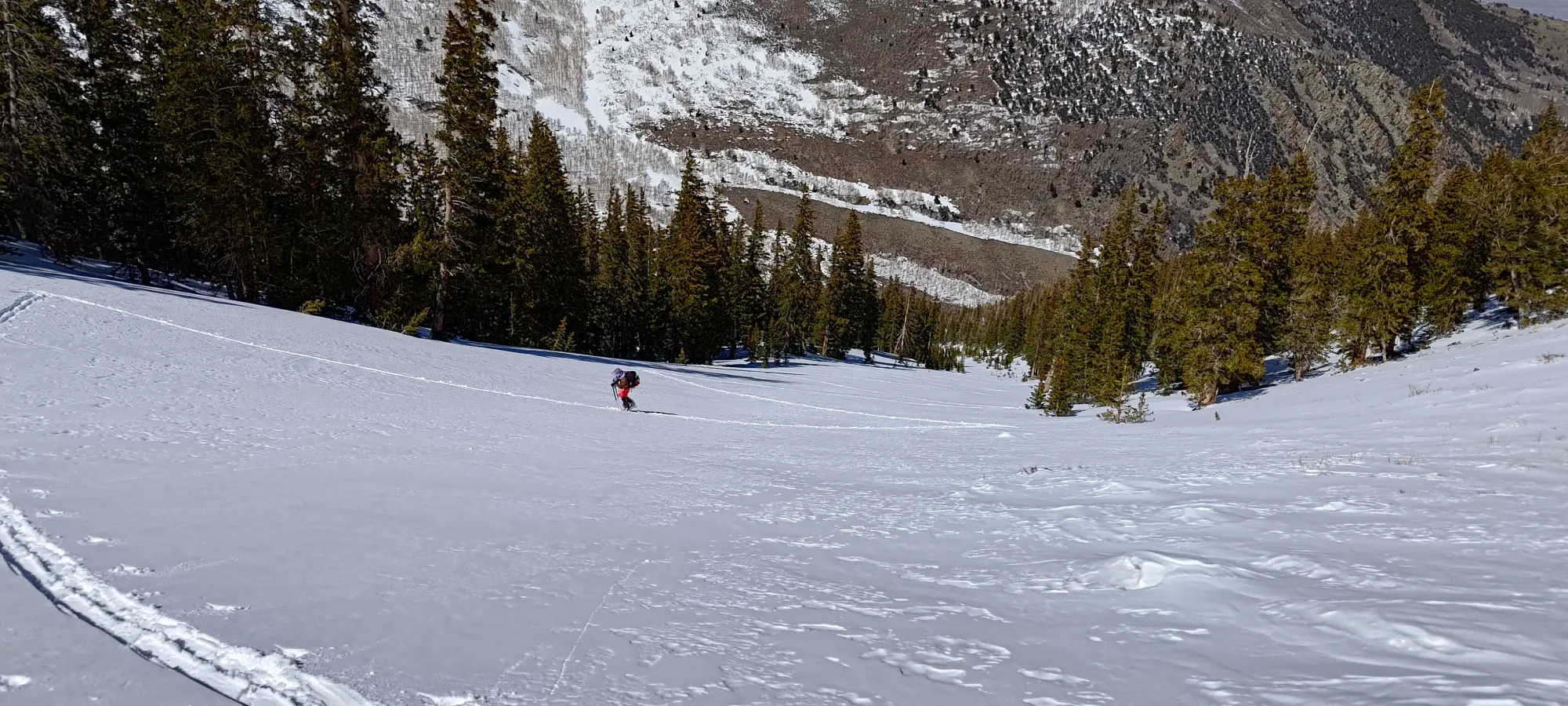 North Schell Peak - April 6 2025