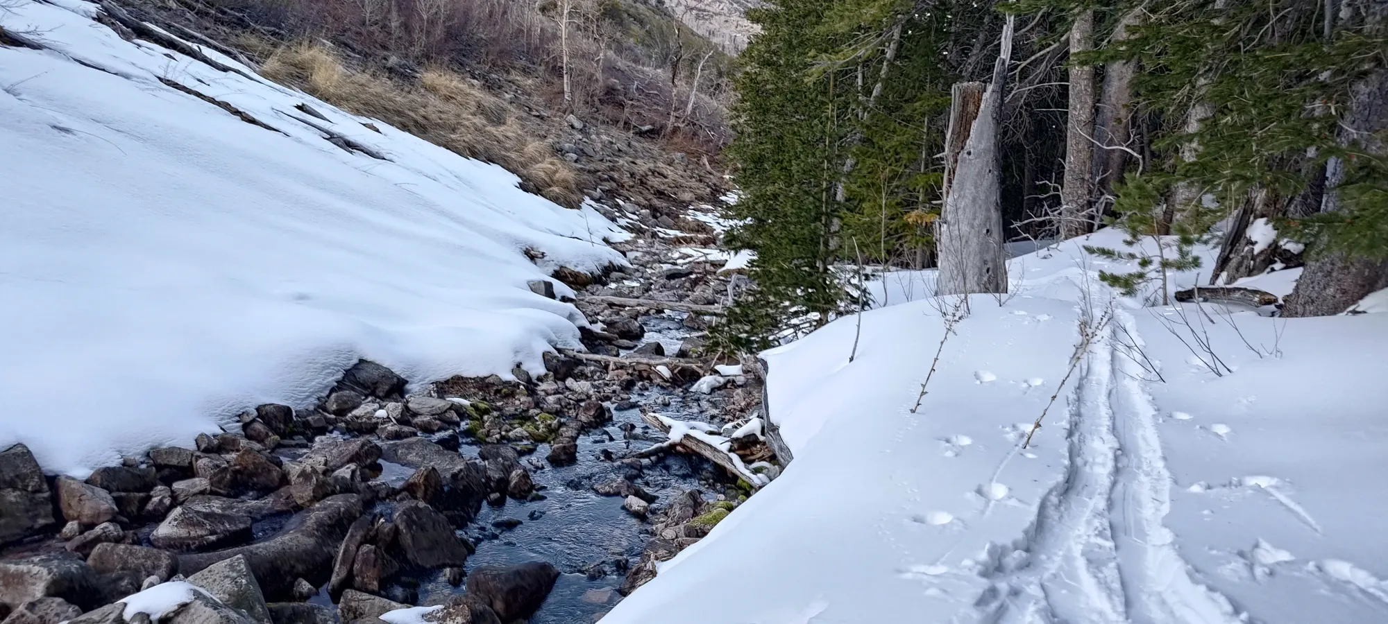 North Schell Peak - April 6 2025