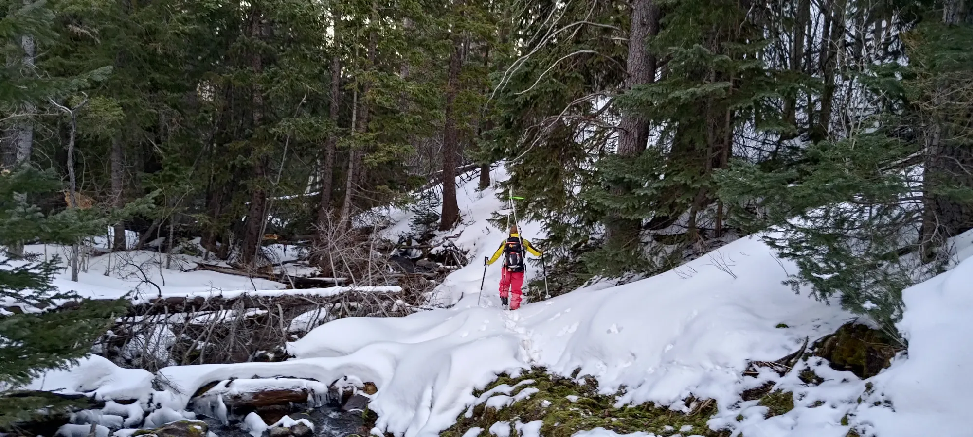North Schell Peak - April 6 2025