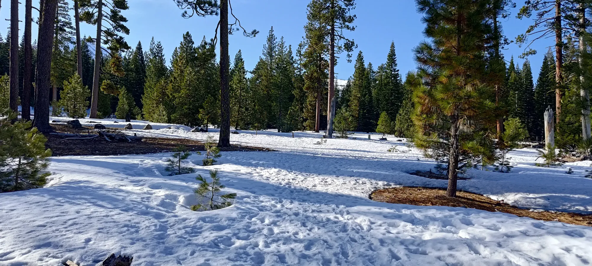 Lassen Peak - April 9 2025
