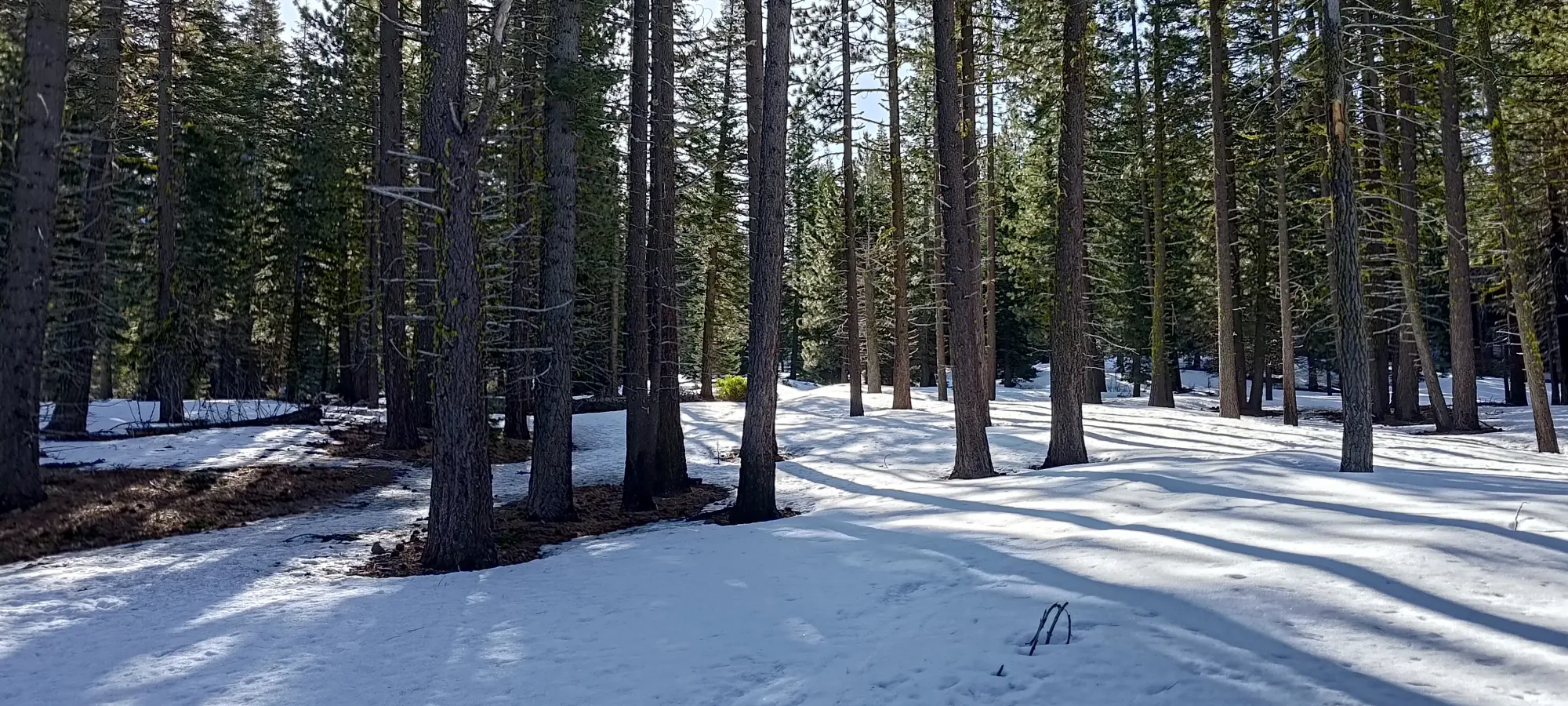 Lassen Peak - April 9 2025