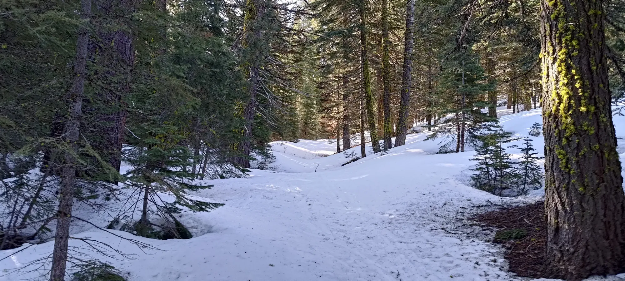 Lassen Peak - April 9 2025