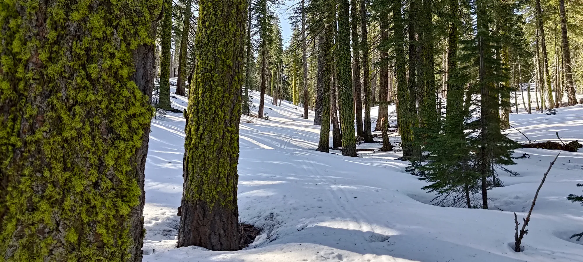 Lassen Peak - April 9 2025