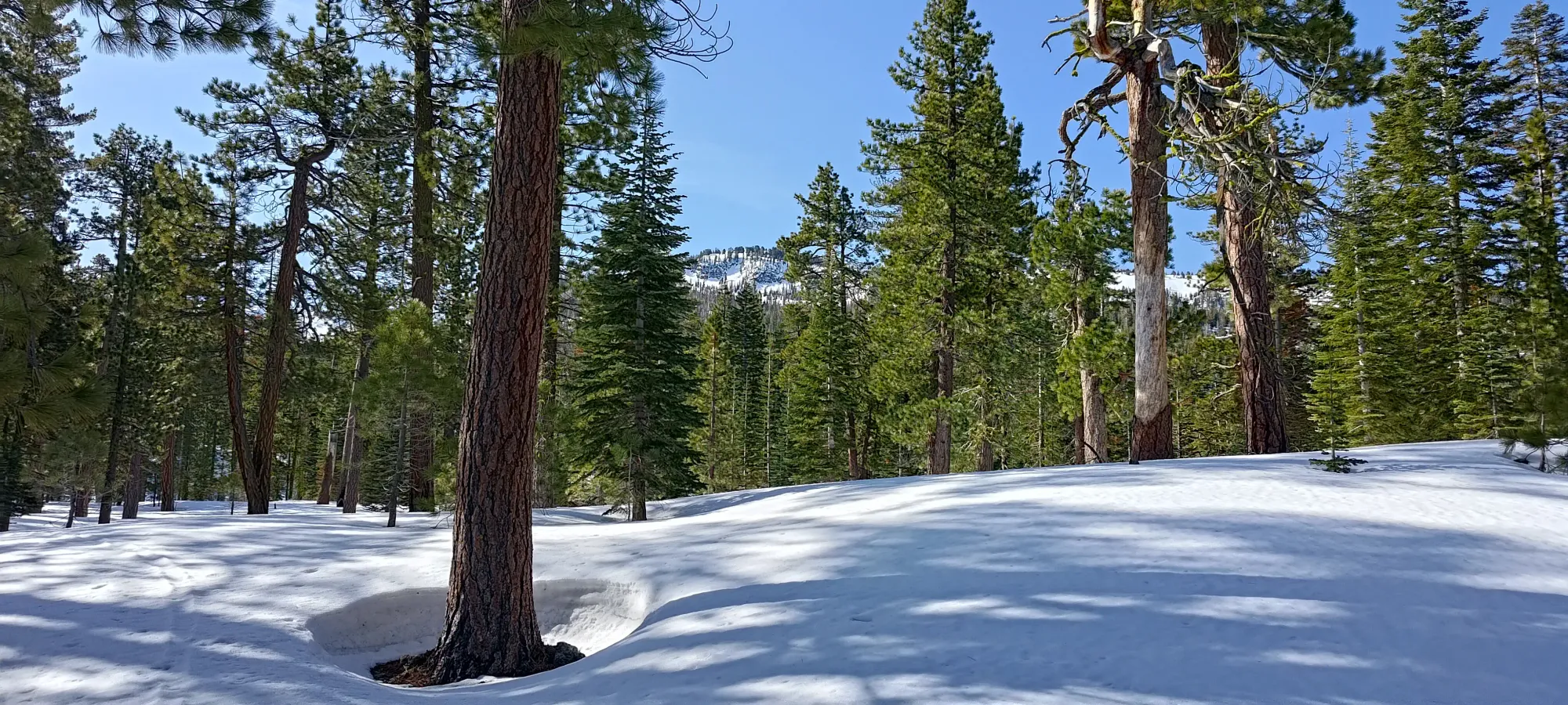 Lassen Peak - April 9 2025