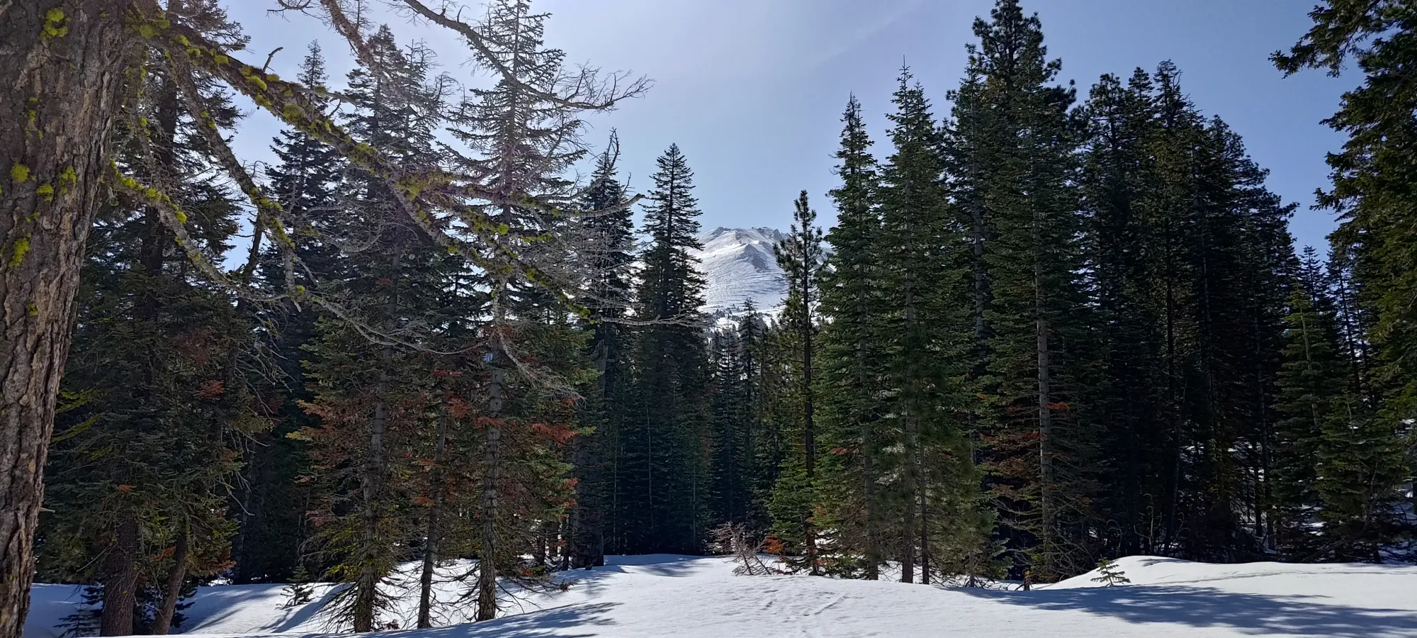 Lassen Peak - April 9 2025