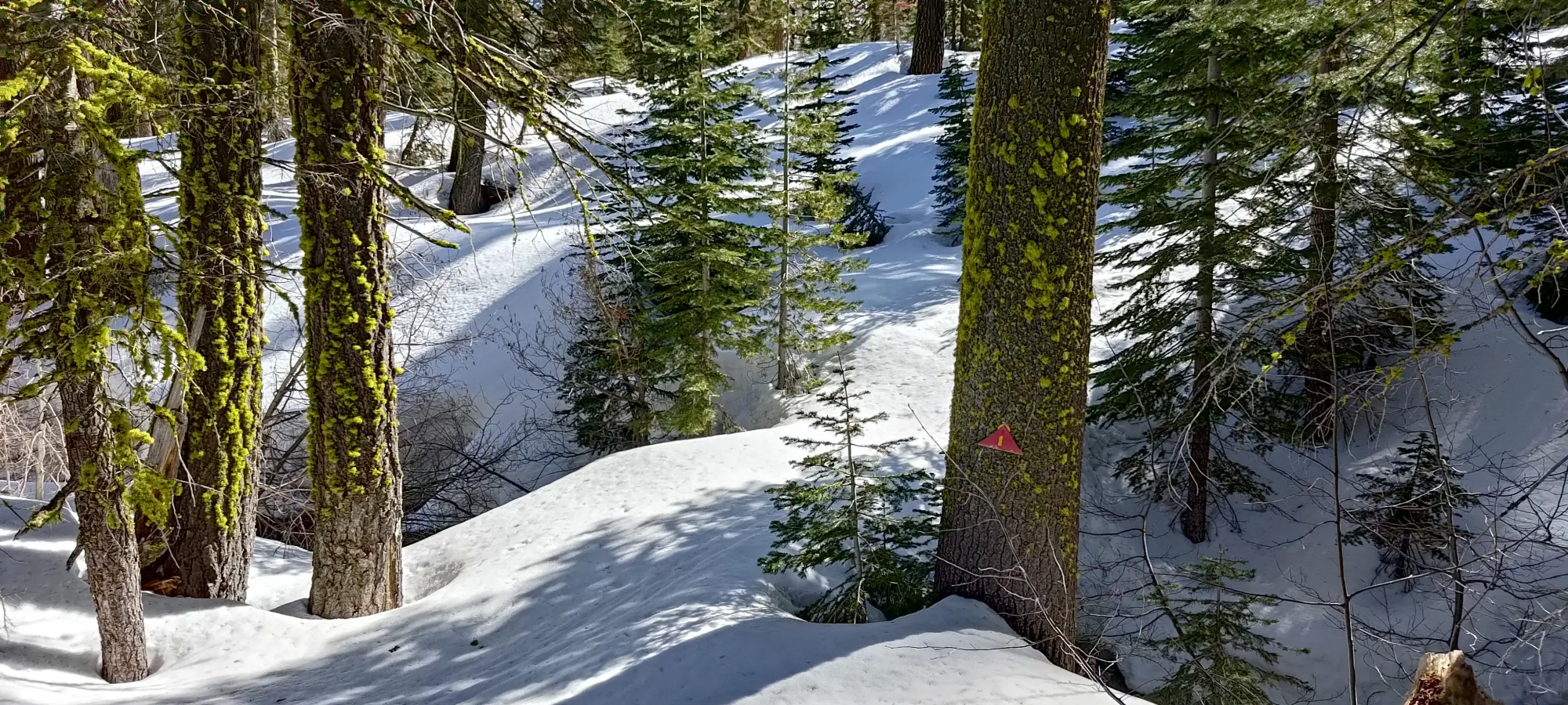Lassen Peak - April 9 2025