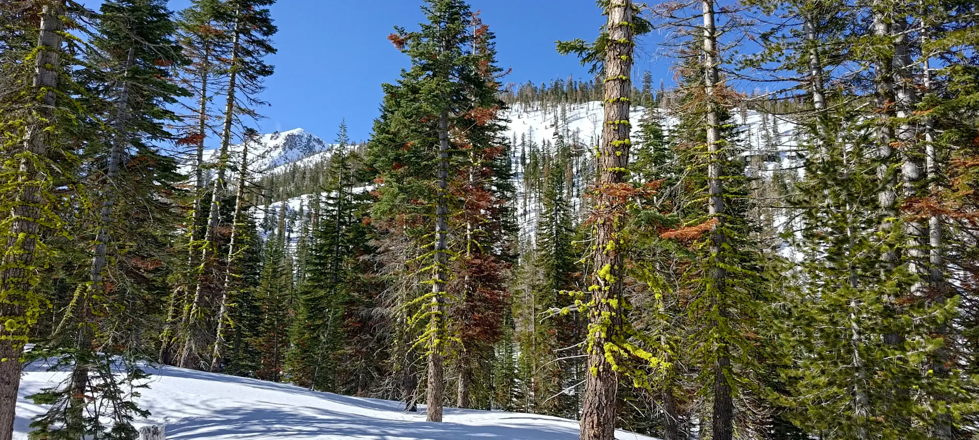 Lassen Peak - April 9 2025